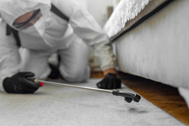 Professional Cockroach Control technician working in Durant, OK