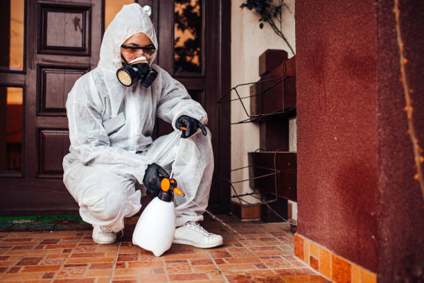 Reliable Cockroach Control contractor in Durant, OK by Nex Pest Control